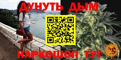 трава Бийск