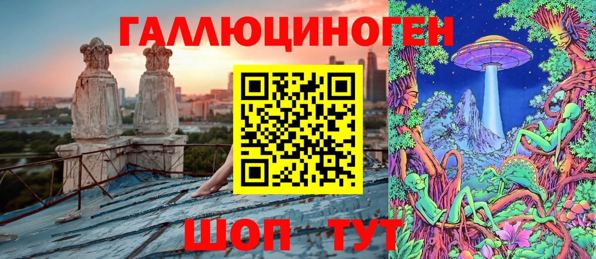 Галлюциногенные грибы Psilocybine cubensis Ахтубинск
